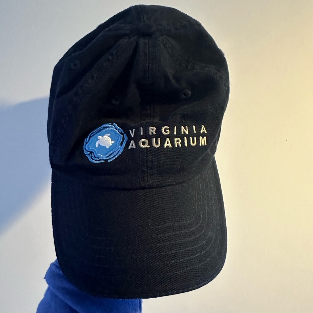 Champion Black Virginia Aquarium Hat